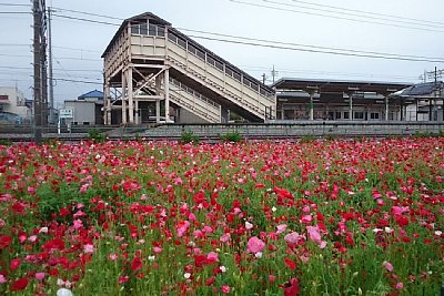 自動券売機があります