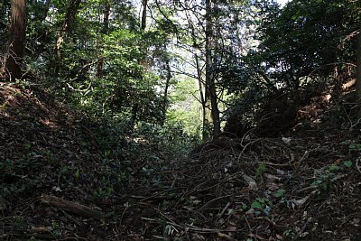 堀切が下部へ伸びています