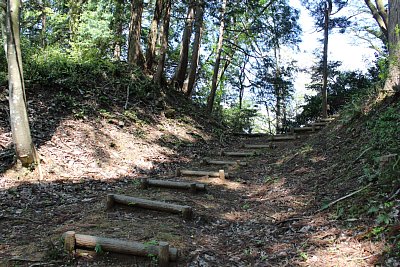 左側は土塁、中央が堀切です