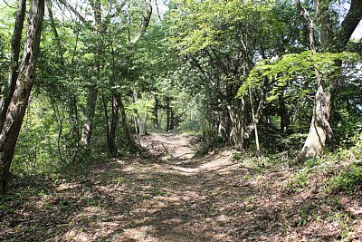 ここは一本道です