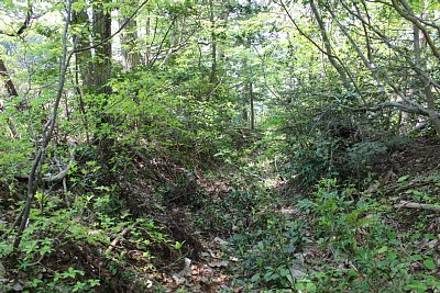 こんなところ通れるのかな・・・