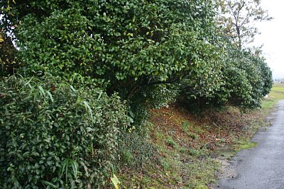 ��~��ِՂ��͂ޓy��