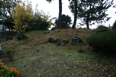 �y�ېՂ͂��Ȃ�̍����ł�