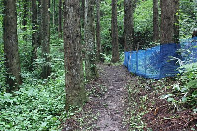 分岐点から直進しました