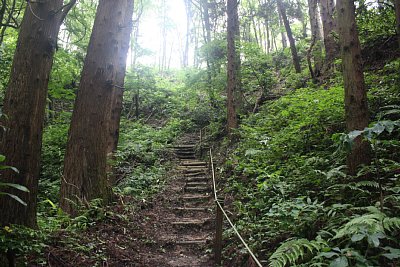 上の方が見えてきました