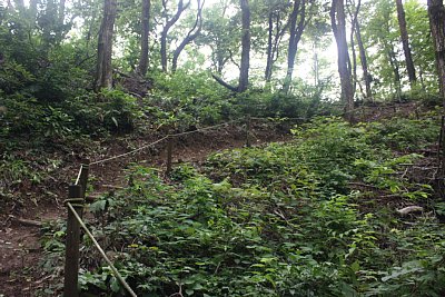 ここも大きくカーブしています