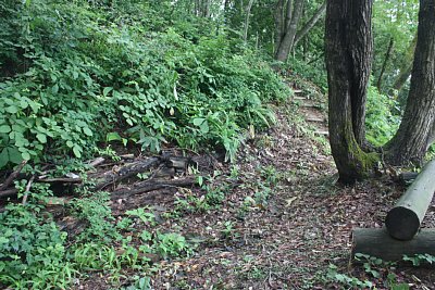 ここは目立たないようですが堀切なのですね