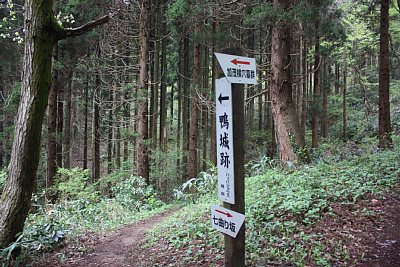 ここが分岐点となります