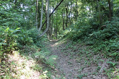 この空堀は本丸を守るためのものです