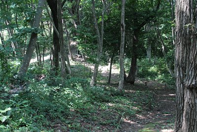 元取山へはかなり急な山道になりますが