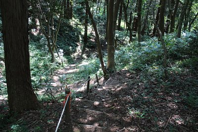 バッパショウズへの下り道もかなりの急勾配です