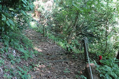 狭い山道を進みます