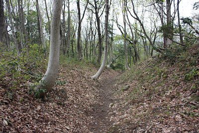 二の丸の北西側には空堀が走っています