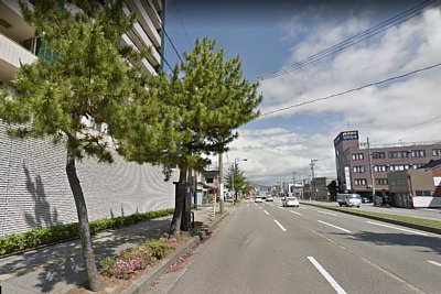 ���c���w�t�߂̗l�q