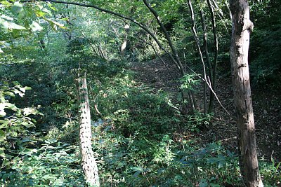 畝状竪堀群は何本もの竪堀が並んでいます