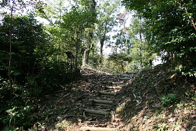 虎口に入ります