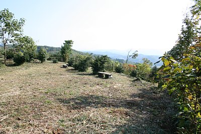 主郭はきれいに整備されています