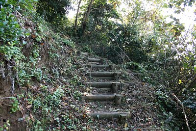 登城道は極めて急坂です