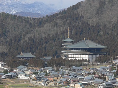 天守から見える越前大仏