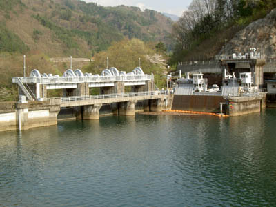 ���݂����̂�����