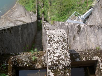 魚道跡を上から眺める