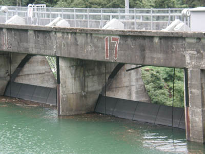 ラジアルゲート