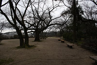 小丸山城天性丸跡