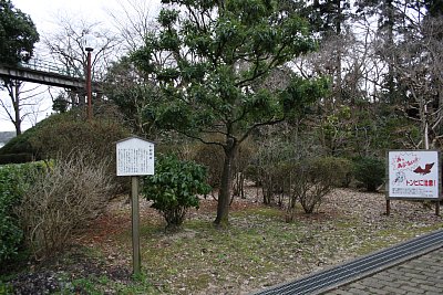本丸跡と天性丸跡の間の空堀跡