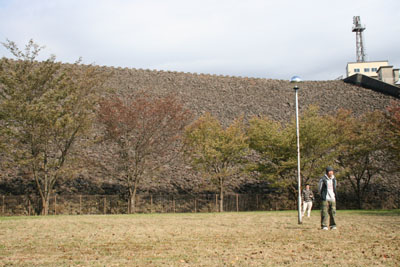 �_�����������̒�����������