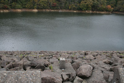 �V�[�����̏㗬��������