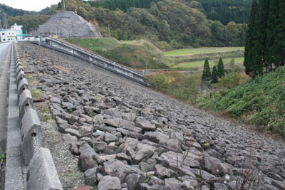 �E�݂����̉�����������