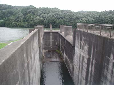 ���p�^���f