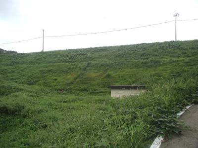 ���������猩�����