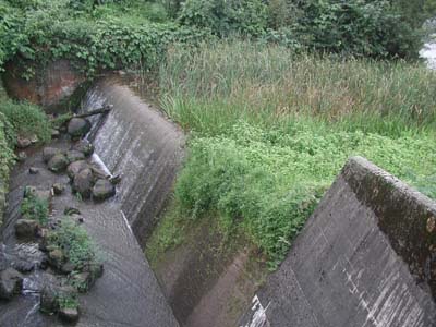 ���R�z�����^���f