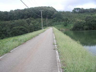 �V�[�͎Ԃ��ʂ�铹�H�ł�