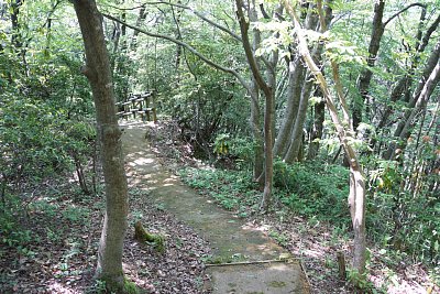 さらに西側に進みます