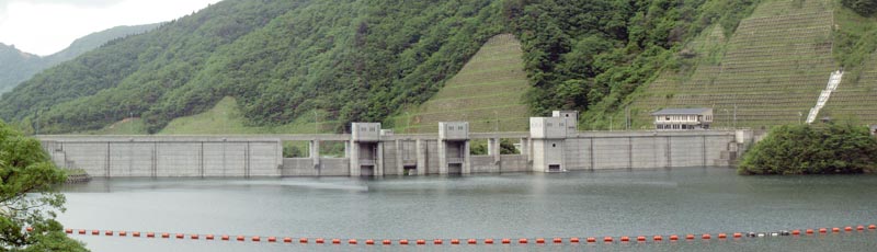 �v�w�{��_���p�m���}