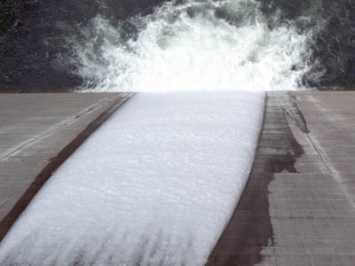 �������ł�