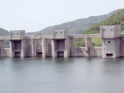 ���p�^���f�Ǝ搅��