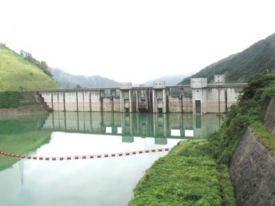 �㗬������_���΂ƒ�̂𒭂߂�