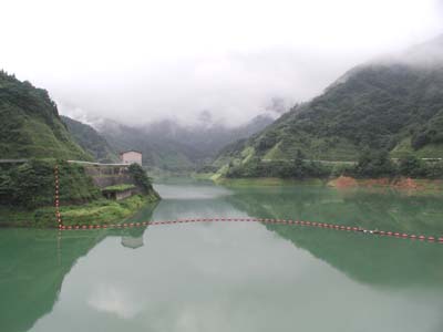 ���肽�Ɍ�