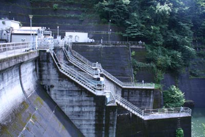 �E�݂����̉�����������