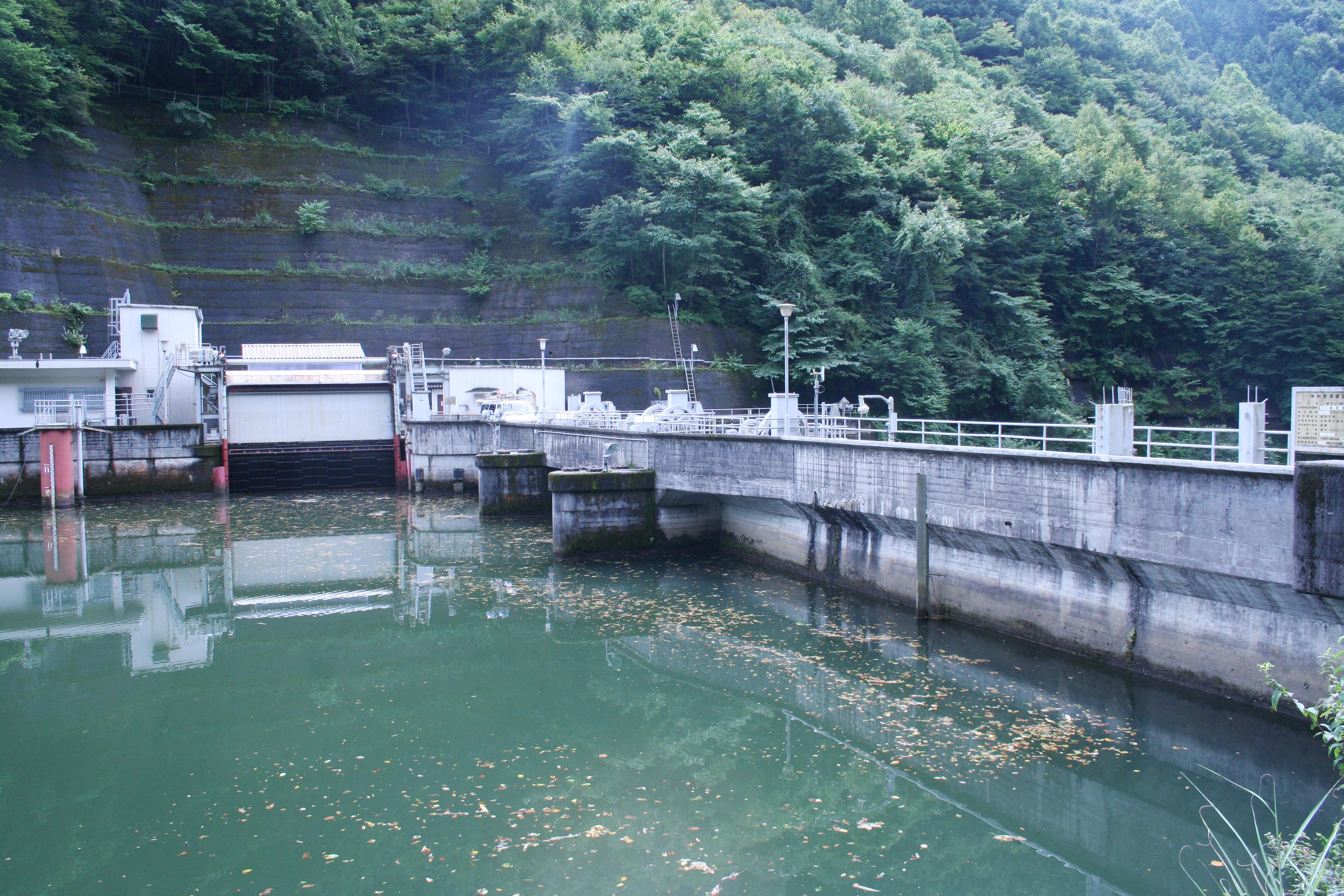 �E�݂����̏㗬��������