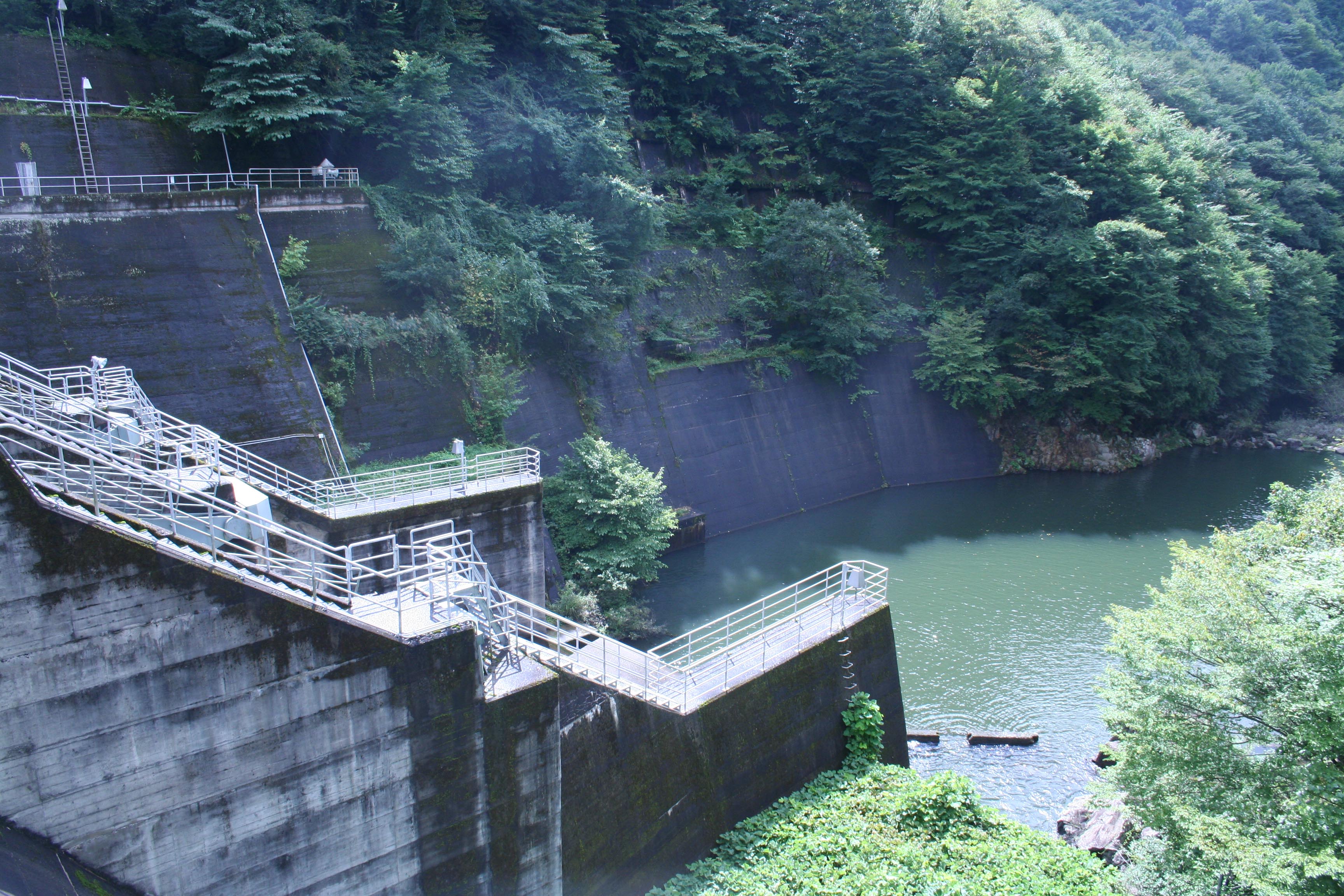 �E�݂����̉�����������