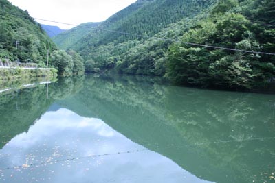 �_���΂͋v�X�쒙���r�ƌĂт܂�