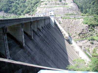 �F���_���S�i