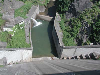 ��̏ォ�瓱�����𒭂߂�