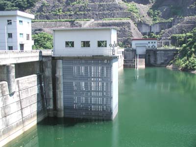 �㗬������I���搅���𒭂߂�