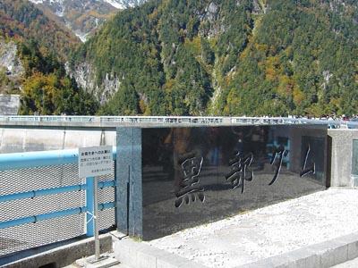 �����_���̖�������e�΂ɍ���ł���܂�