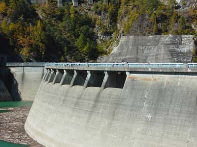 �N���X�g�Q�[�g��10��̎��R�z�����^���f